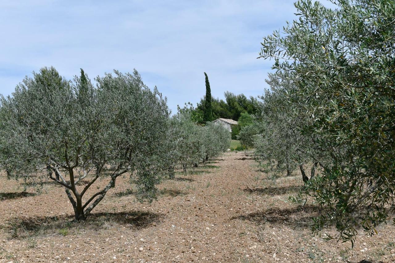 Le Mas Des Genets Saint-Rémy-de-Provence 외부 사진